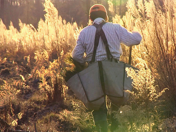 Man walking in field with large bags over shoulders